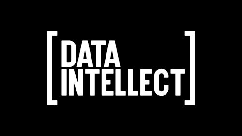 Data Intellect
