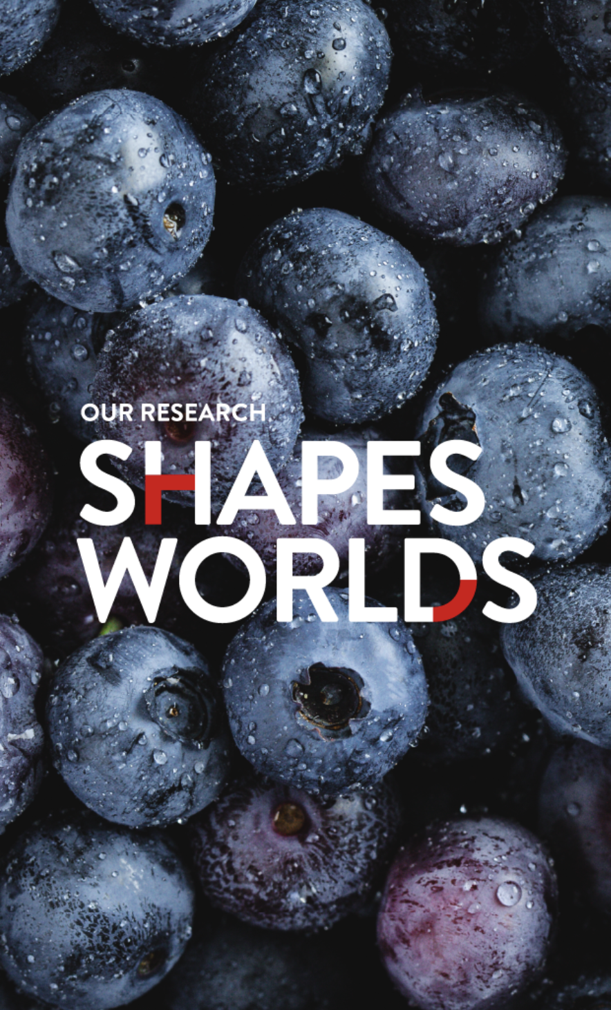 REPUTATION CAMPAIGNS